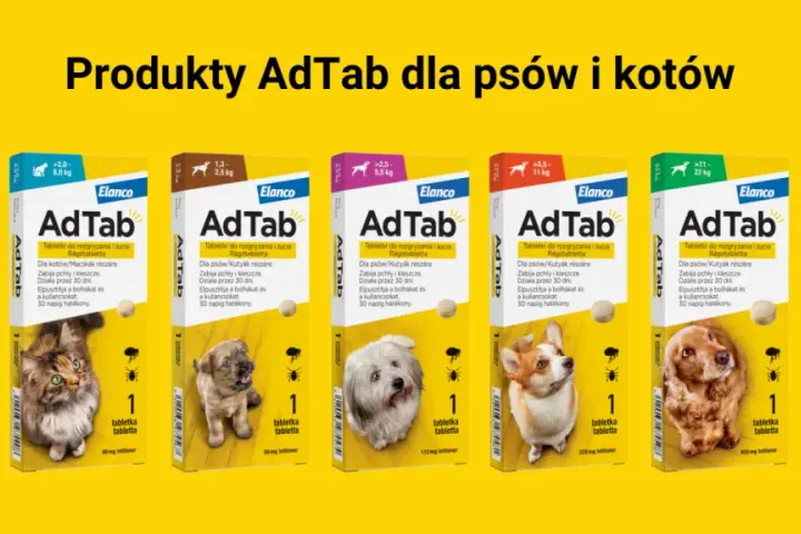 Produkty AdTab dla psów i kotów: co ile tabletka na kleszcze? Różne opakowania dla zwierząt o różnej wadze.